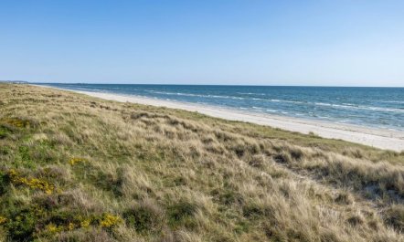 'Einette' - 100m from the sea 4