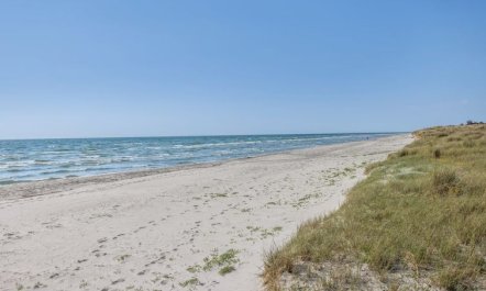 'Einette' - 100m from the sea 3