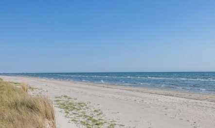 'Einette' - 100m from the sea 2