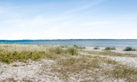 'Jyrki' - 100m from the sea 5