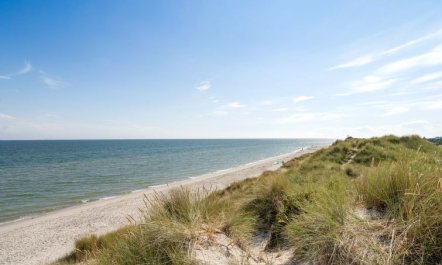 'Selle' - 100m from the sea 5