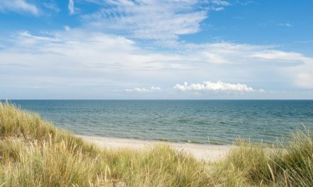 'Selle' - 100m from the sea 4