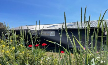 'Selle' - 100m from the sea 3