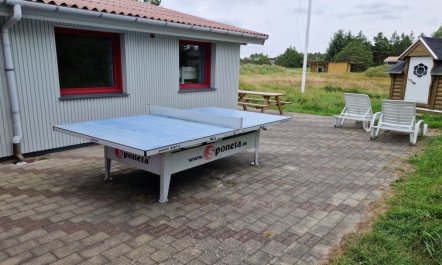 'Germund' - 900m from the sea 4