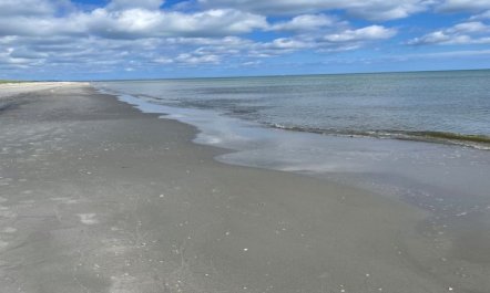 'Poul' - 100m from the sea 2