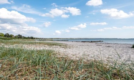 'Stavros' - 100m from the sea 2