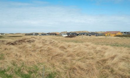 'Mauri' - 350m from the sea 3