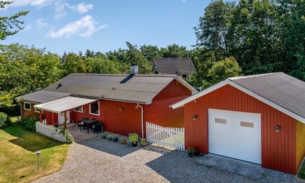 'Sallie' - 500m to the fjord 1