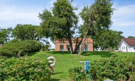 'Bryngeir' - 25m from the sea 6