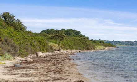 'Bryngeir' - 25m from the sea 4