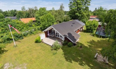 'Alger' - 450m from the sea 7