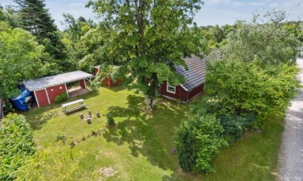 'Alger' - 450m from the sea 6