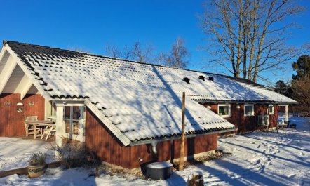 'Alger' - 450m from the sea 3