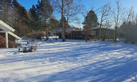 'Alger' - 450m from the sea 2