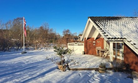 'Alger' - 450m from the sea 1