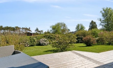 'Harald' - 300m from the sea 5