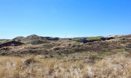 'Gundine' -  from the sea 5