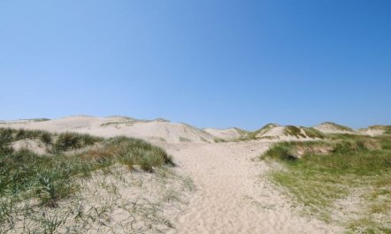 'Gundine' -  from the sea 3