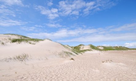 'Gundine' -  from the sea 2