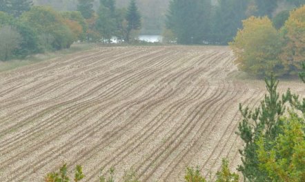 'Piia' - 800m from the sea 7