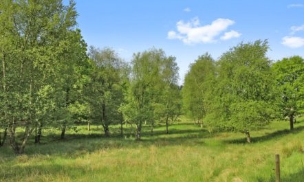 'Terese' - 45km from the sea 6