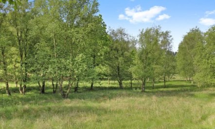 'Terese' - 45km from the sea 5