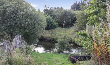 'Terese' - 45km from the sea 3