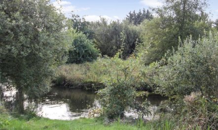 'Terese' - 45km from the sea 2