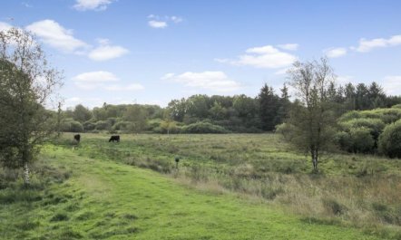 'Terese' - 45km from the sea 1