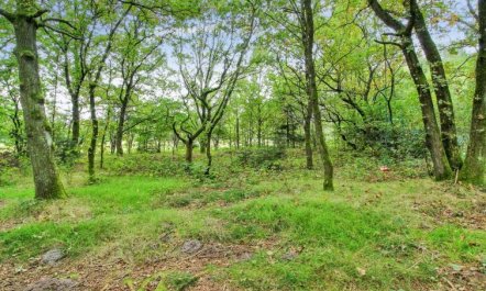 'Ellica' - 50km from the sea 2