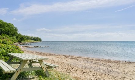 'Nahele' - 150m from the sea 3