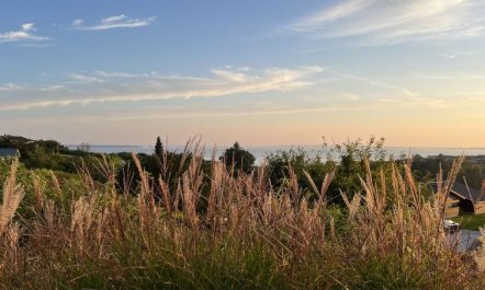 'Harda' - 800m from the sea 1