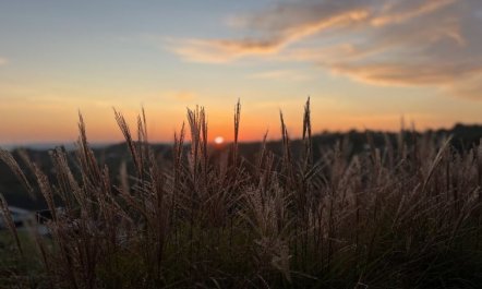 'Harda' - 800m from the sea 6