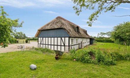 'Thessa' - 900m from the sea 5