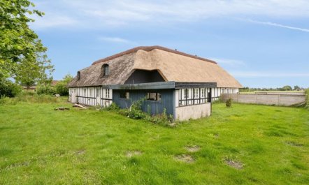 'Thessa' - 900m from the sea 4