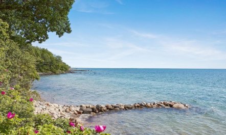 'Arnetta' - 150m from the sea 3