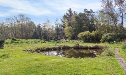 'Sune' - 500m from the sea 7