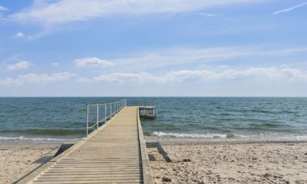 'Bjarni' - 175m from the sea 1