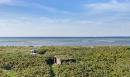 'Joella' - 75m from the sea 3