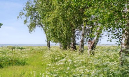 'Sys' - 150m from the sea 1