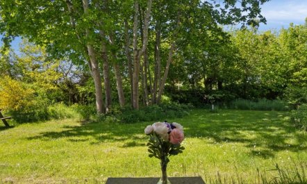 'Deljan' - 200m from the sea 7