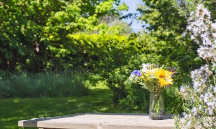 'Deljan' - 200m from the sea 5