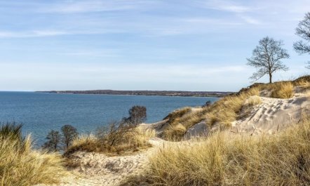 'Terttu' - 250m from the sea 6