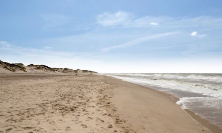 'Felicita' -  from the sea 2