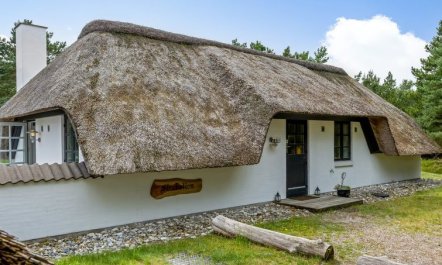 'Lilo' - 1km from the sea 4