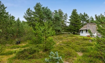 'Lilo' - 1km from the sea 2