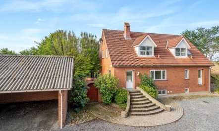 'Auguste' - 1.5km to the fjord