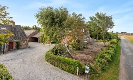 'Auguste' - 1.5km to the fjord 2