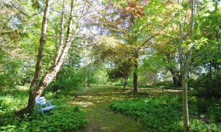 'Mandana' - 10km to the fjord 5