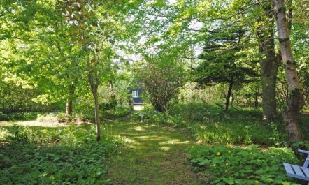 'Mandana' - 10km to the fjord 4